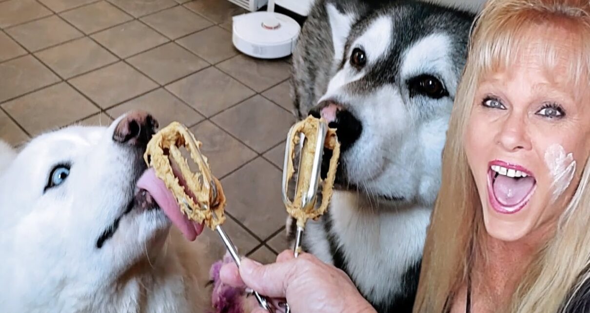 yt 223649 Cooking Peanut Butter Waffles With Malamute Husky 1210x642 - Cooking Peanut Butter Waffles With Malamute & Husky