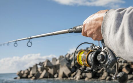 How to Choose a Saltwater Spinning Reel